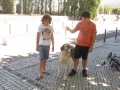 Encontro Cão de Gado Transmontano, Parque das Nações, Lisboa